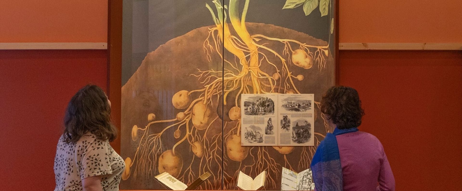Two individuals examining a display in Unearthed: The Power of Gardening exhibition