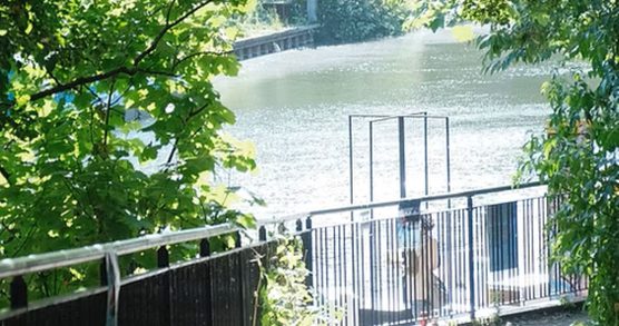 A path, surrounded by greenery, down to water in a canal