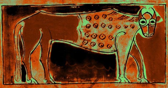 Drawing of an ox