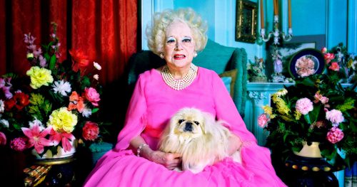 Photograph of Dame Barbara Cartland, wearing a pink dress with a small dog on her lag