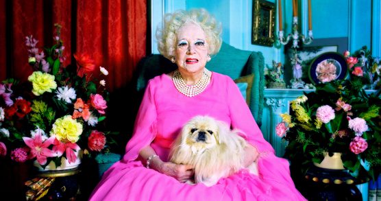 Photograph of Dame Barbara Cartland, wearing a pink dress with a small dog on her lag