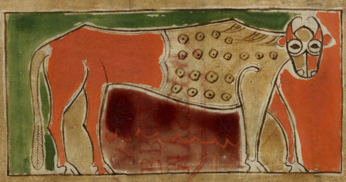 Illustration of an ox