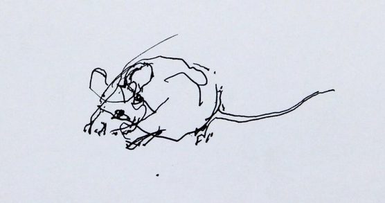 Mouse VII drawing by John Berger