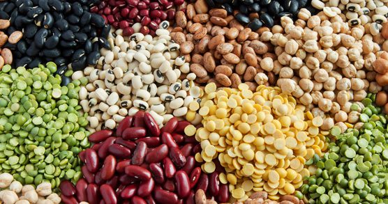A photograph of around 15 different types of dried beans and legumes in overlapping piles