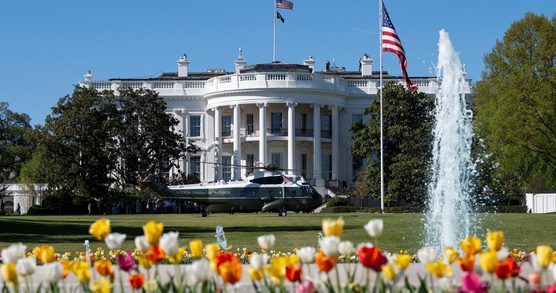 The White House, tulips in foreground