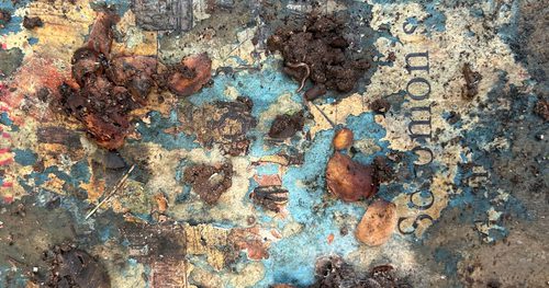 A small pile of dirt and an earthworm sit on top of a book that was once blue but is now patchy and distorted. A part of the printed title is visible.