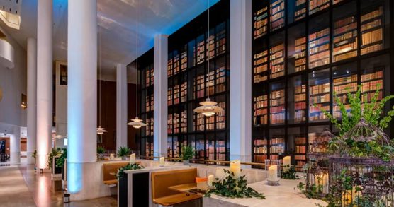 Café seating area inside the British Library, with wooden tables and chairs arranged in an open, modern space and surrounded by bookshelves and large windows.
