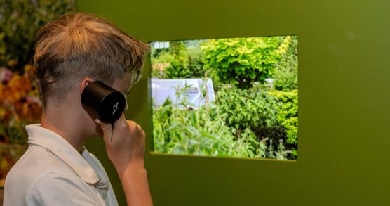 A school child holding a speaker to their ear while looking at a screen showing the tops of green trees