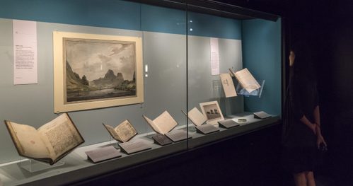 A women looks into a wall display case of books.